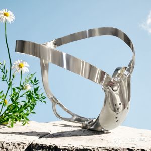 Men's custom chastity belt, two styles with and without anal plug, stainless steel CBbirdcage metal   B12